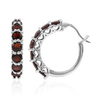 Orecchini in argento con Granato