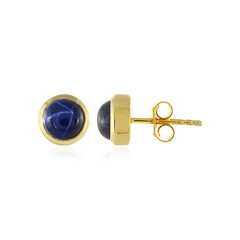 Orecchini in argento con Zaffiro Stellato Blu