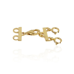 Catenina in argento