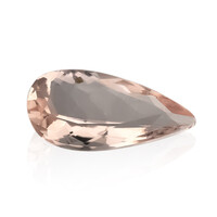 Gemma con Morganite Pesca