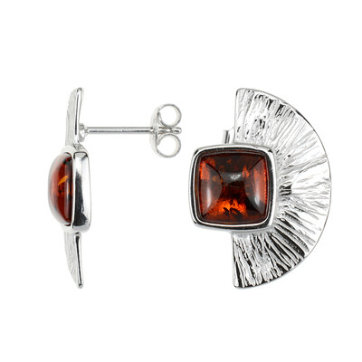 Orecchini in argento con Ambra Baltica (MONOSONO COLLECTION)