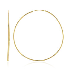Orecchini in argento