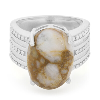 Anello da uomo in argento con Quarzo Dinosauro