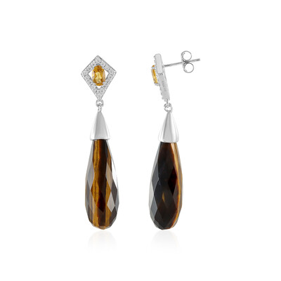 Orecchini in argento con Occhio di Tigre