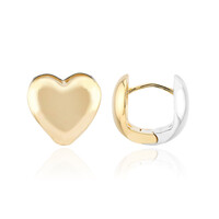 Orecchini in argento
