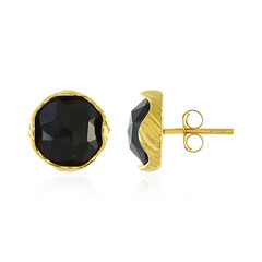 Orecchini in argento con Onice Nero