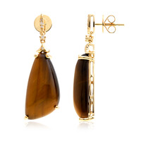 Orecchini in oro con Occhio di Tigre (CIRARI)