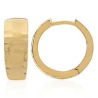 Orecchini in argento