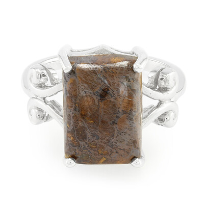 Anello in argento con Quarzo Dinosauro