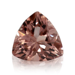 Gemma con Morganite
