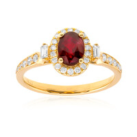 Anello in oro con Rubino Mozambico AAA (CIRARI)