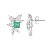 Orecchini in argento con Zircone