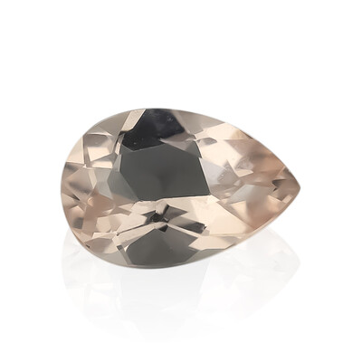 Gemma con Morganite Pesca