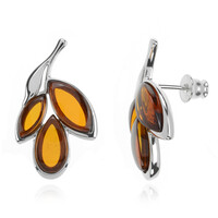 Orecchini in argento con Ambra Baltica