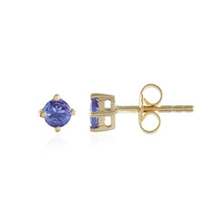 Orecchini in argento con Tanzanite