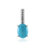 Ciondolo in argento con Turchese Sleeping Beauty (Faszination Türkis)