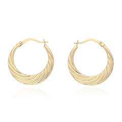 Orecchini in oro