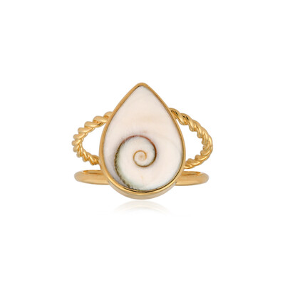 Anello in argento con Occhio di Shiva (Bali Barong)
