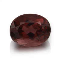 Gemma con Rubellite 2,98 ct