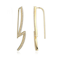 Orecchini in argento con Zircone