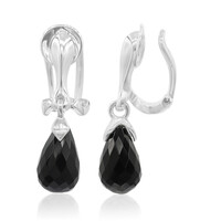 Orecchini in argento con Agata Nera