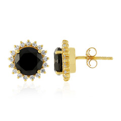 Orecchini in argento con Spinello Nero