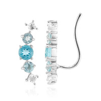 Orecchini in argento con Apatite Blu