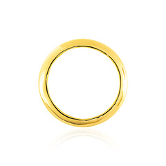Ciondolo in argento con Quarzo Bianco