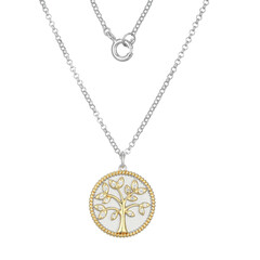 Collana in argento con Zircone