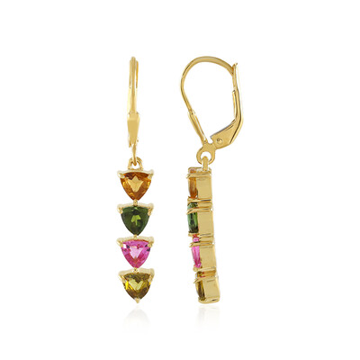 Orecchini in argento con Tormalina