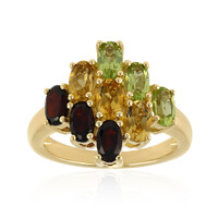 Anello in argento con Granato