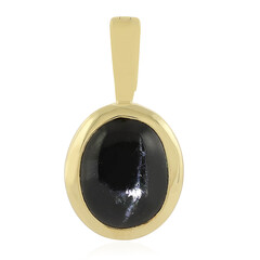 Ciondolo in argento con Diopside Stellato d'India