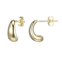 Orecchini in argento (Adela Silber)