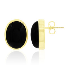 Orecchini in argento con Onice Nero