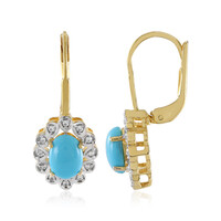 Orecchini in argento con Turchese Sleeping Beauty