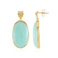Orecchini in argento con Amazzonite