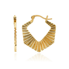 Orecchini in argento