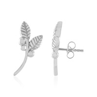 Orecchini in argento