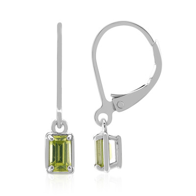 Orecchini in argento con Peridoto della Birmania