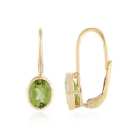 Orecchini in argento con Peridoto