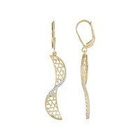 Orecchini in argento con Zircone