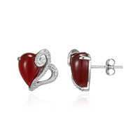 Orecchini in argento con Agata Rossa