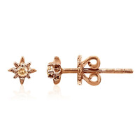 Orecchini in oro con Diamante Rose de France SI1 di Argyle