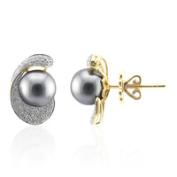 Orecchini in oro con Perla Tahitiana (TPC)