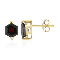 Orecchini in argento con Granato