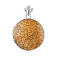 Ciondolo in argento con Corallo Pietrificato (Bali Barong)