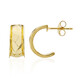 Orecchini in argento