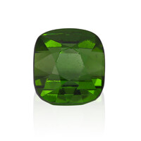Gemma con Tormalina Verde