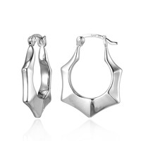 Orecchini in argento