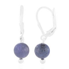 Orecchini in argento con Tanzanite
